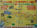 dsc02730.JPG