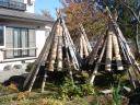 dsc05150.JPG